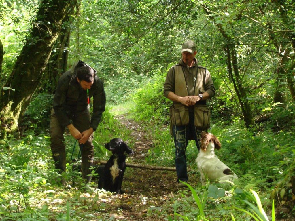 Gundog training K9 Mentor